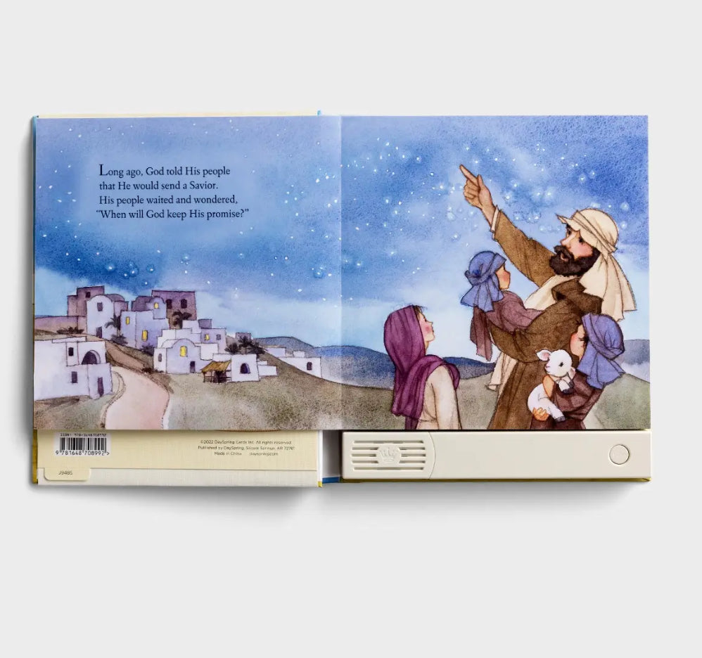 God’s Christmas Promise Recordable Storybook