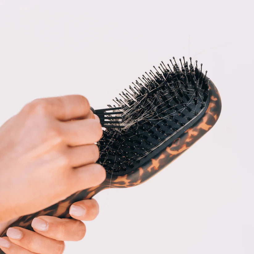 Teleties Boar Bristle Hair Brush, Tortoise