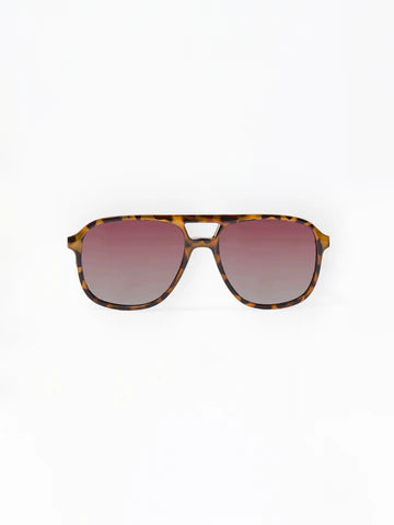 Sunglasses, Morgan Brown Tortoise